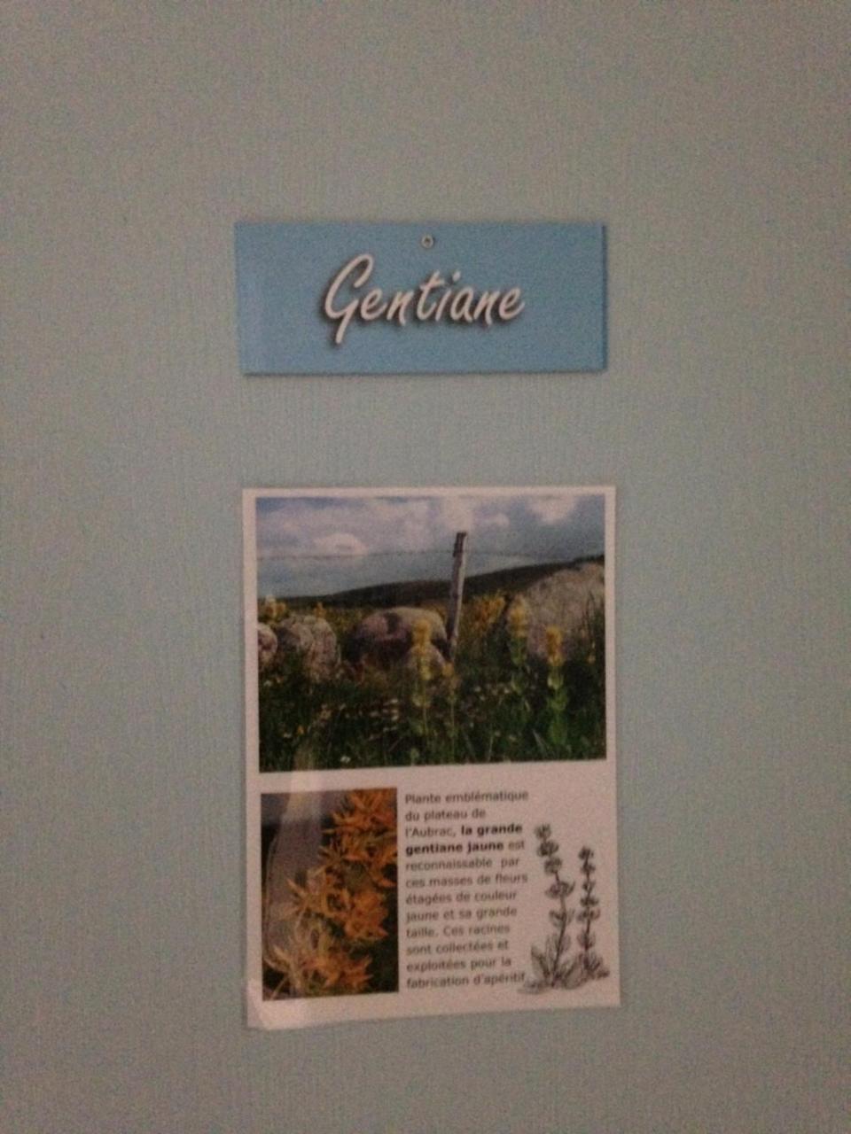 Gite Du Forail Laguiole Exterior photo